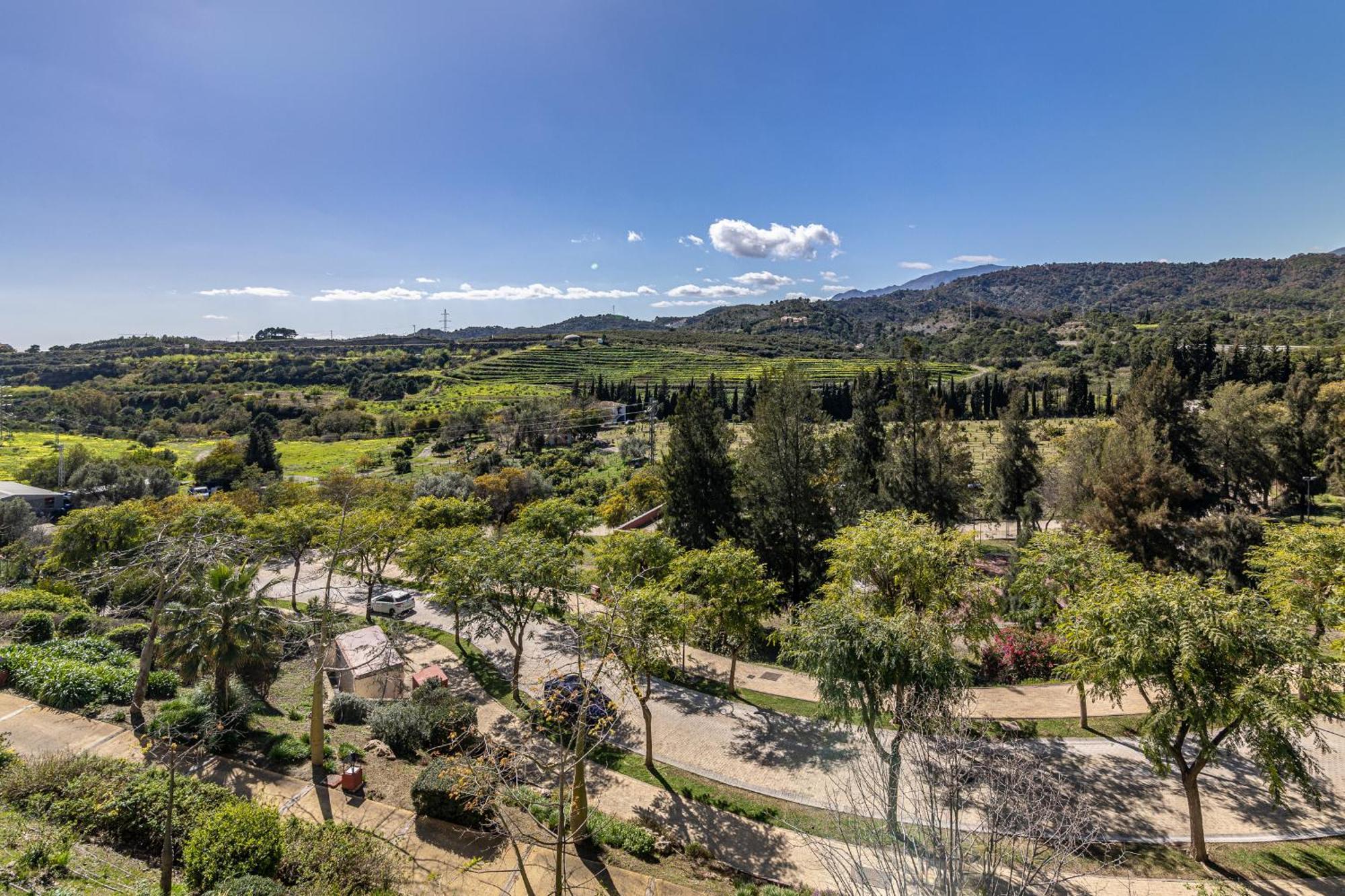 Rentitspain Apartamento Charming Gym, Jacuzzi Y Balcon Εστεπόνα Εξωτερικό φωτογραφία